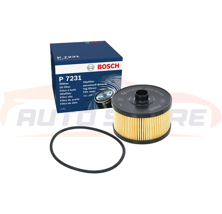 فلتر زيت حشورينو كابتشر